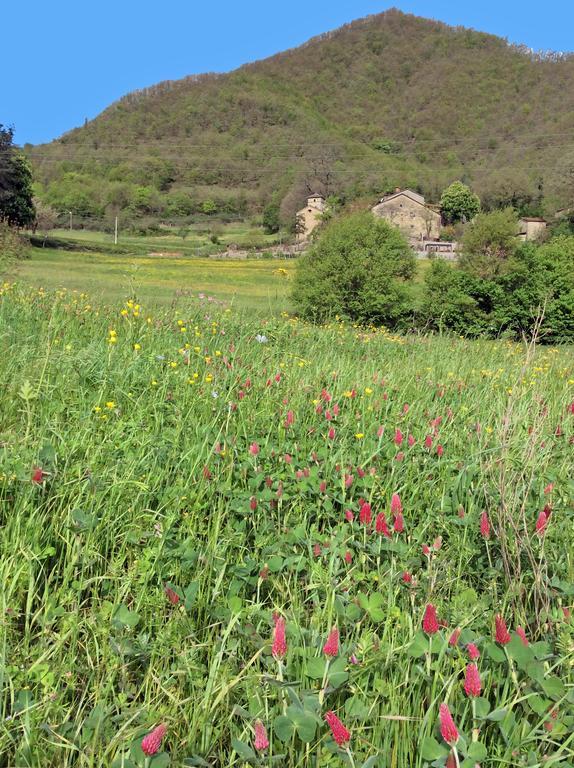 Pieve Di Ca Maggiore Firenzuola Exterior foto